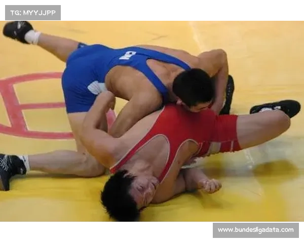 专访古典式摔跤冠军：躯干控制与战术配合的训练心得